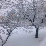 snow-4