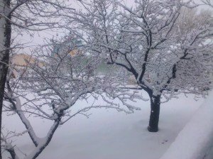 snow-4